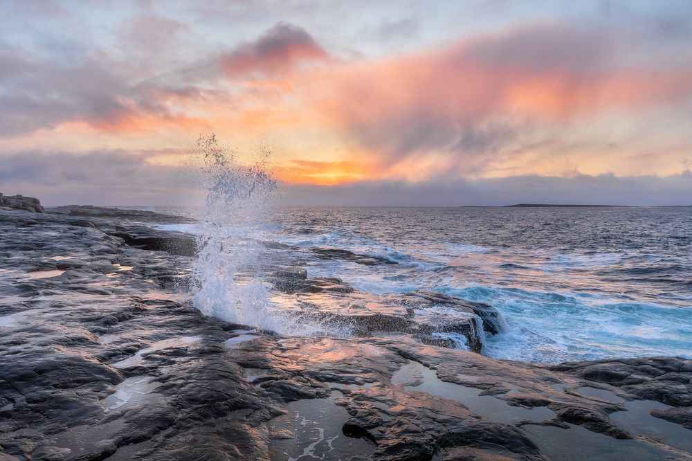 Фотография автора Александр Пашеничев