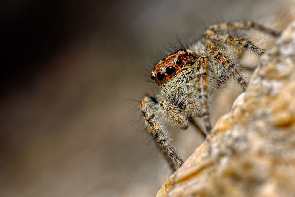 Фотография автора Vasileios Karapanagiotidis