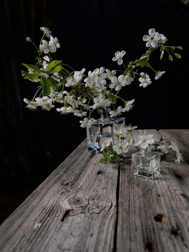 Photograph by Angelica Medvedeva