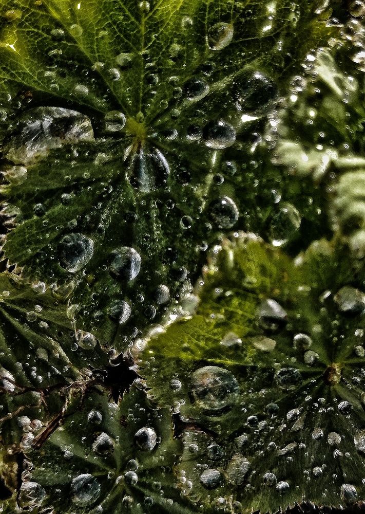 Photograph by Diana Greske