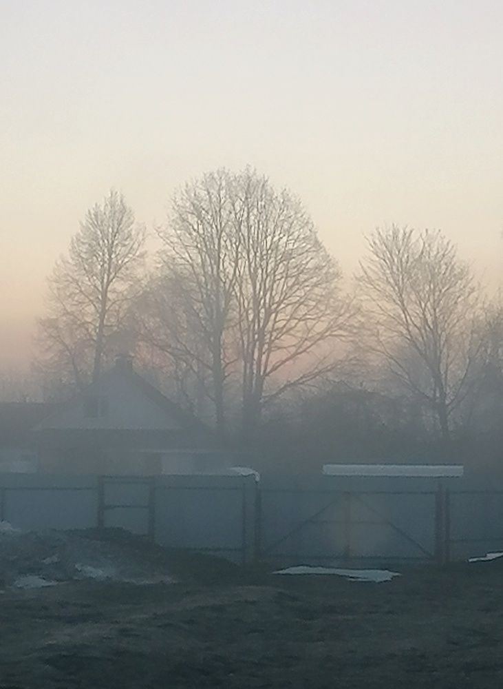 Photograph by Diana Greske