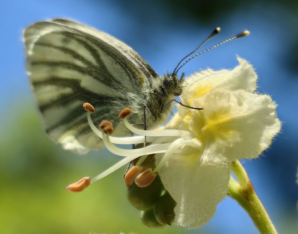 Photograph by Анна