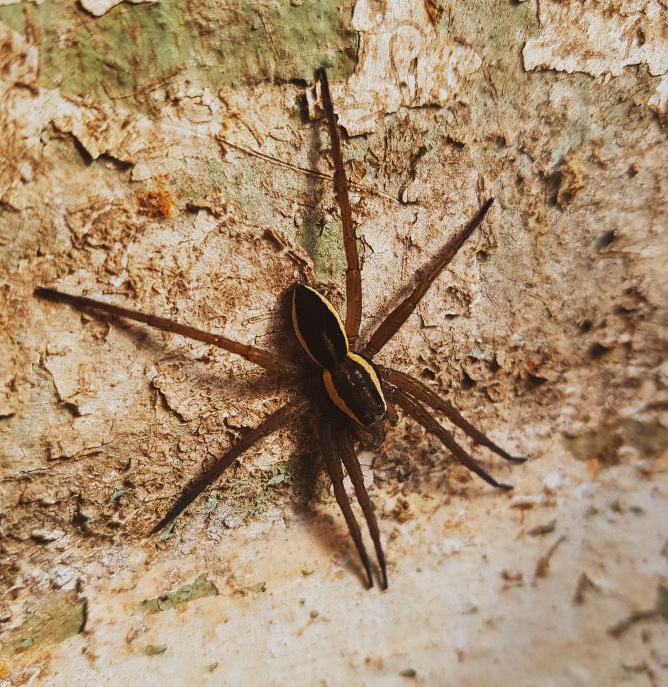 Фотография автора Валерия