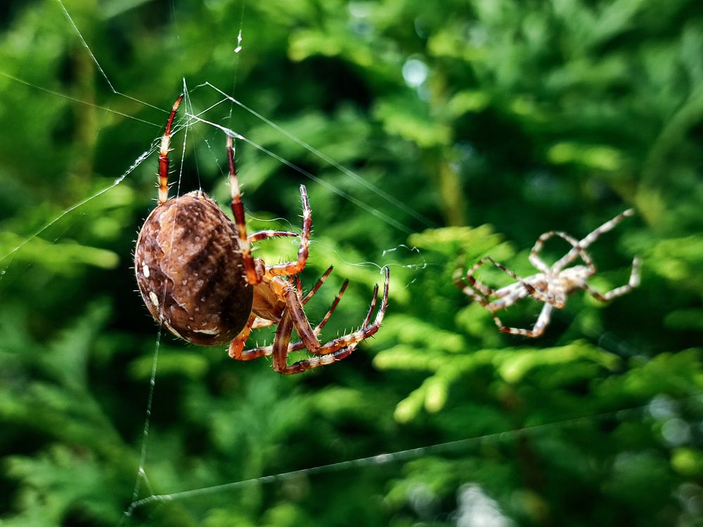 Фотография автора Мария Филиппова