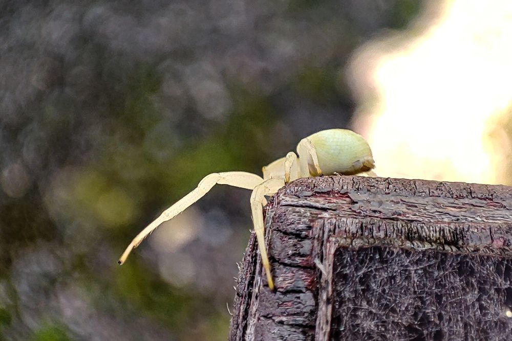 Фотография автора Мария Филиппова