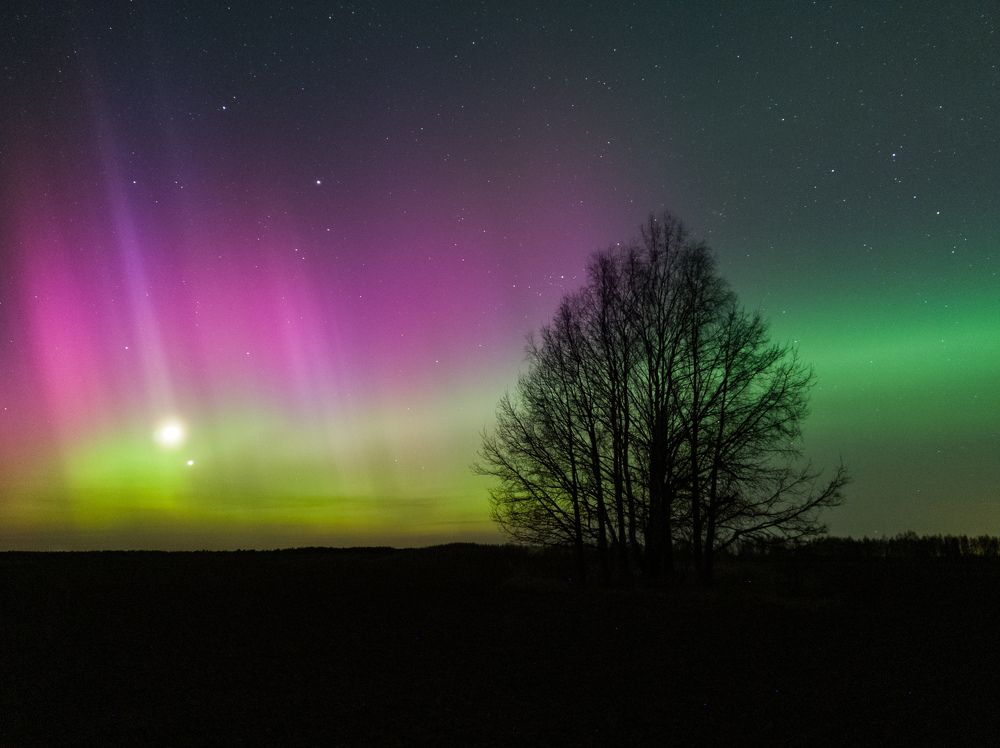 Апрельская аврора!