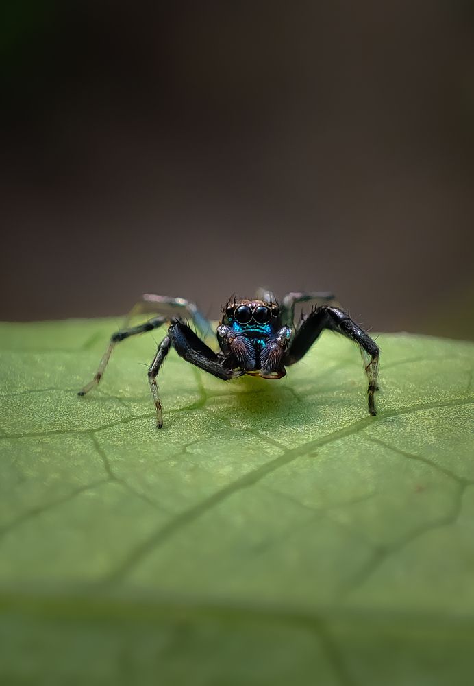 Photograph by Sulagna Mazumdar