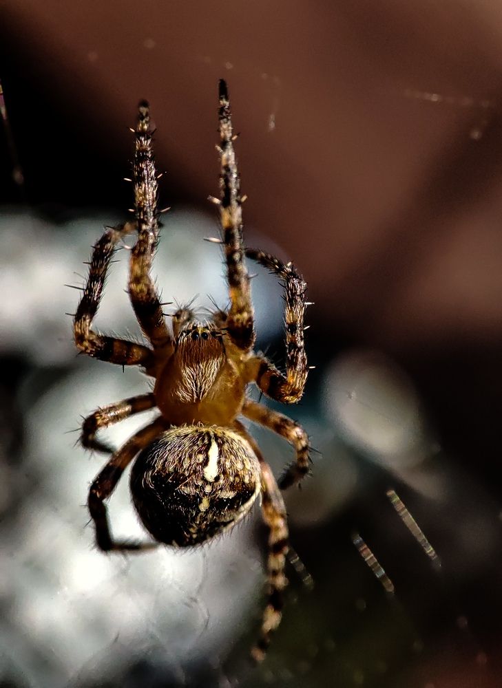 Фотография автора Мария Филиппова