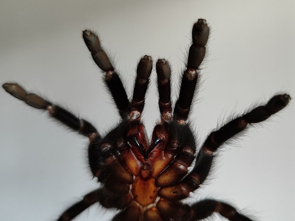 Photograph by Elvira Magsumova