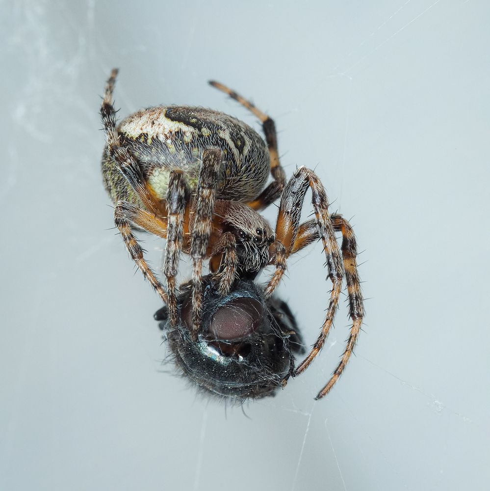 Photograph by Евгений