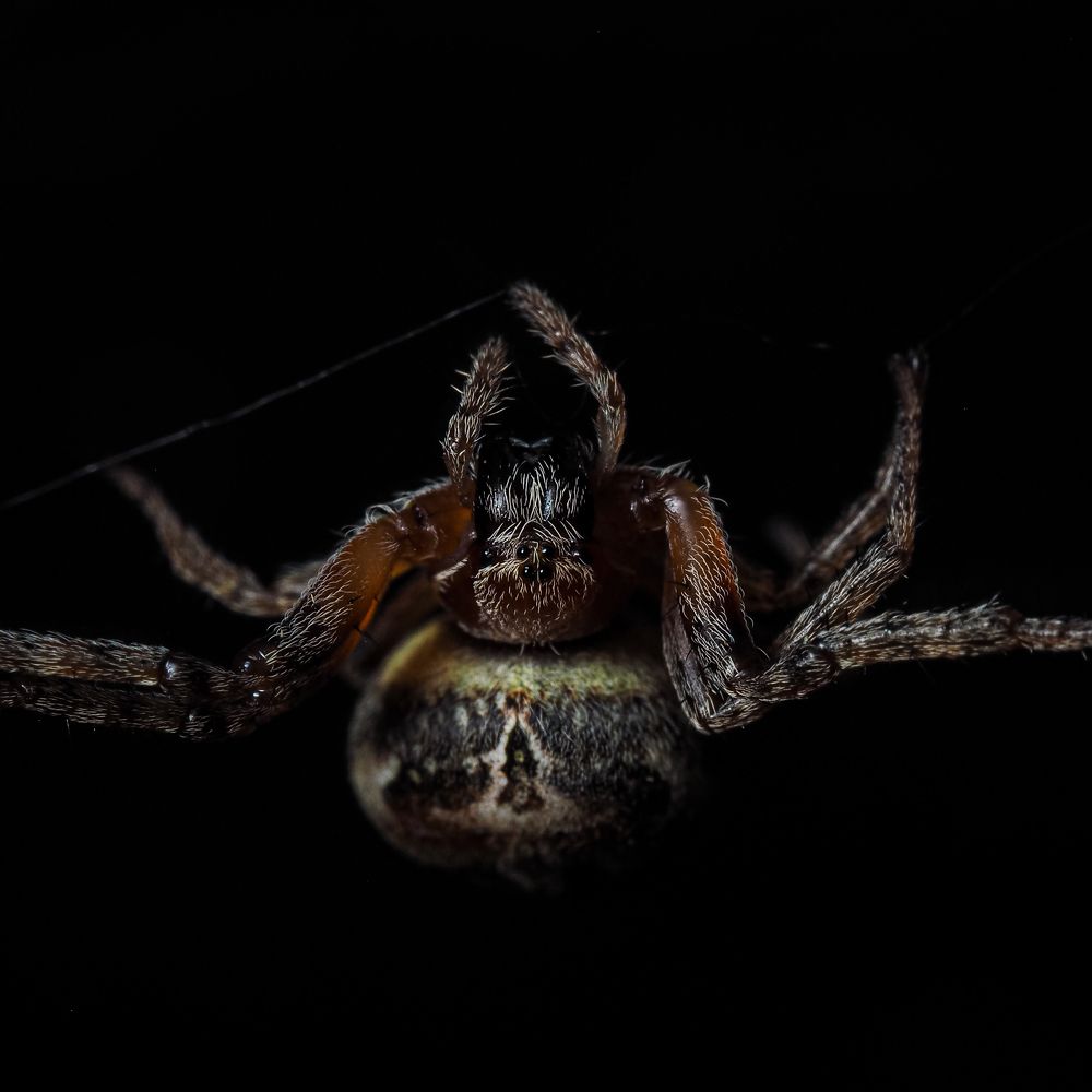 Photograph by Евгений