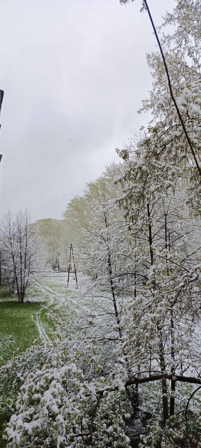 Photo #10574227