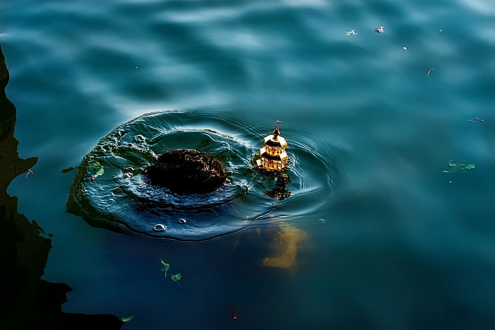 Photograph by k Ravi Reju