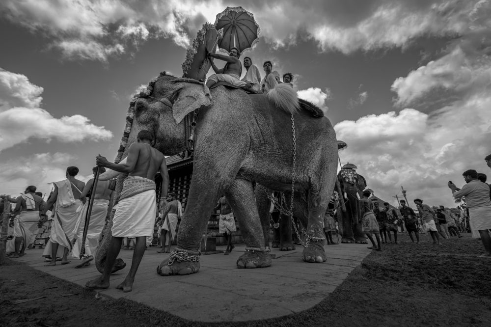 Photograph by k Ravi Reju