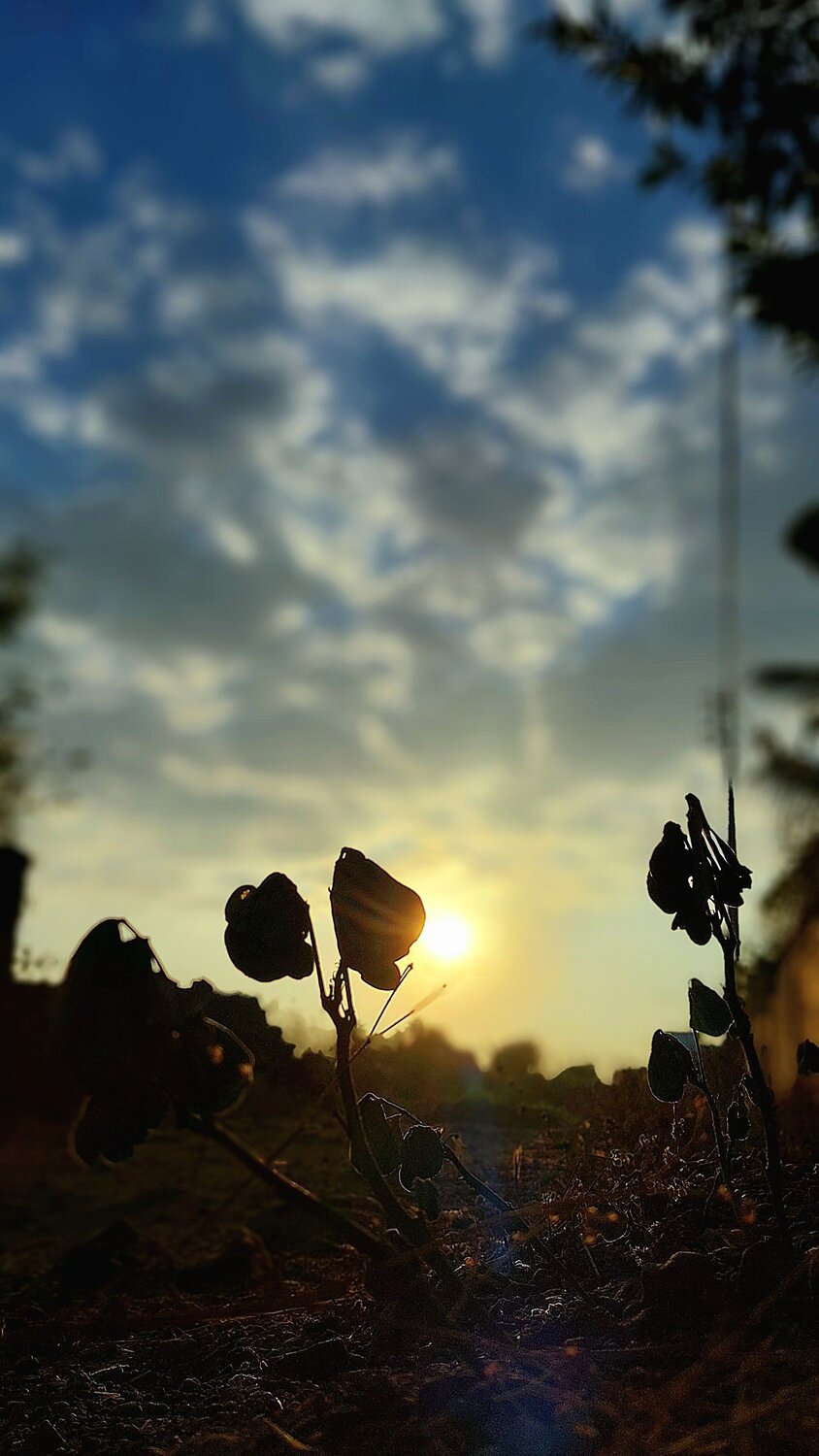 Photo #10574263