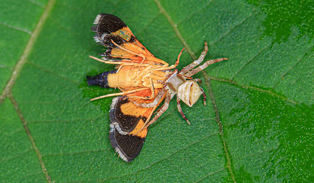 Фотография автора Suresh S S