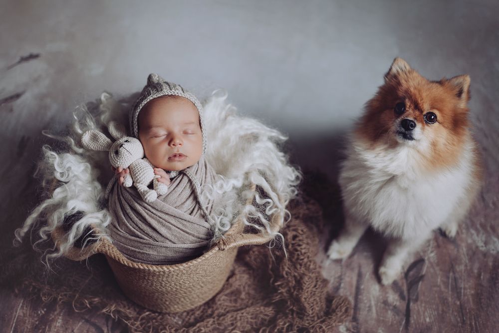 Photograph by Марина Логинова