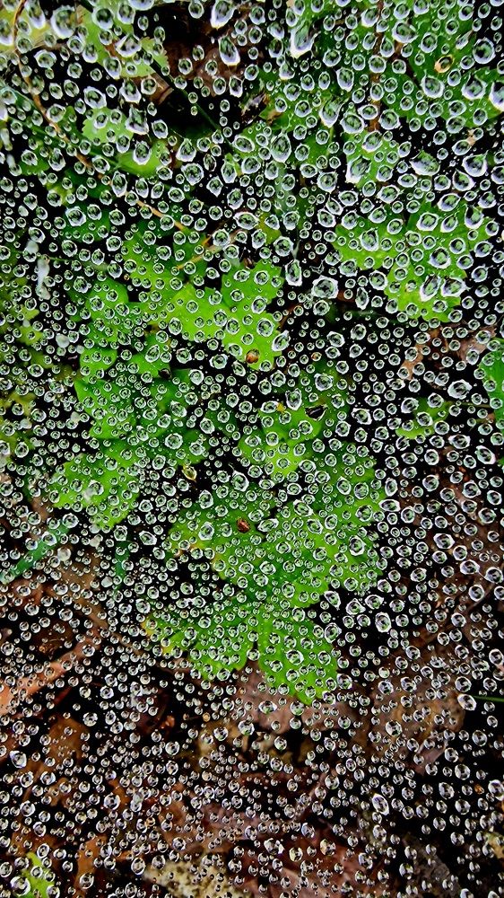 Фотография автора Георгий Черник