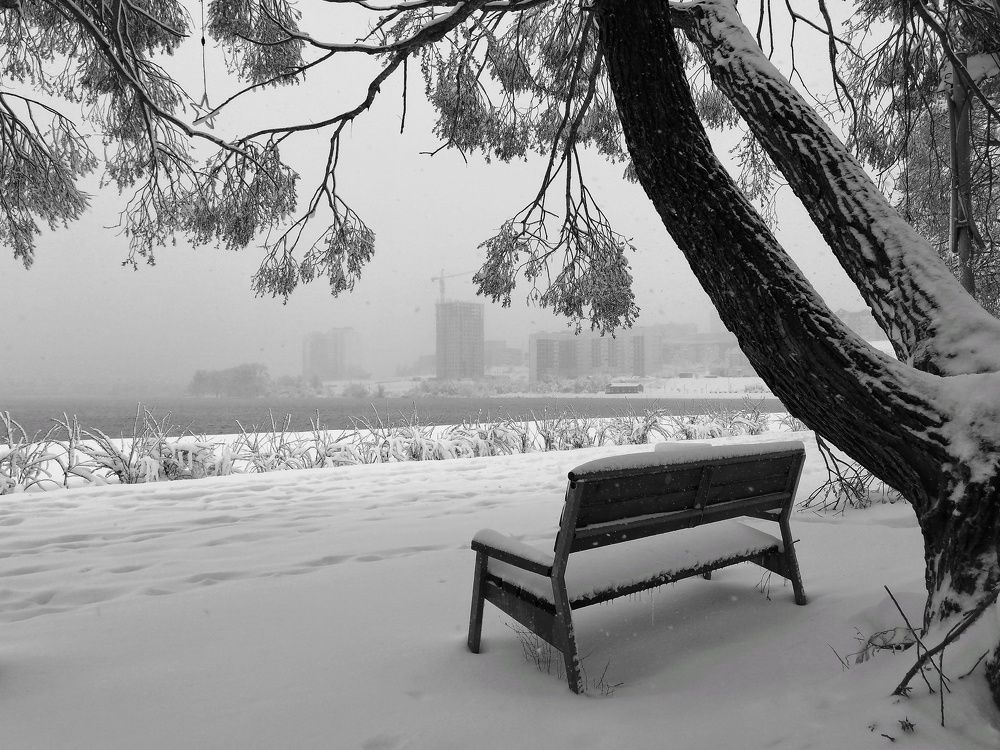 Photograph by Алексей Антонов