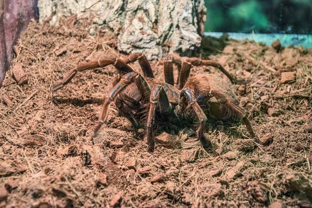 Photograph by Алексей Логинов