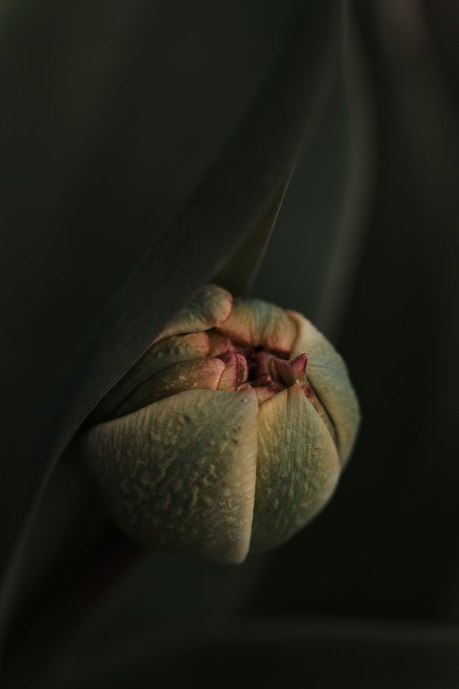 Photograph by Aleksei Degtjarjov