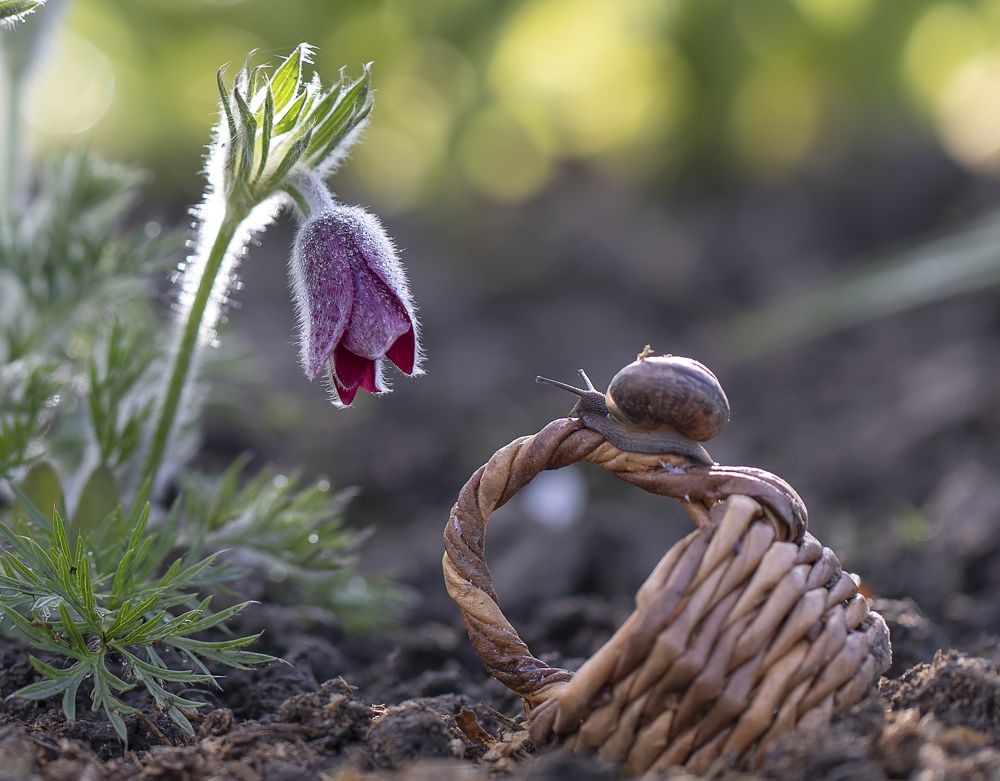 Photograph by Феденкова Татьяна