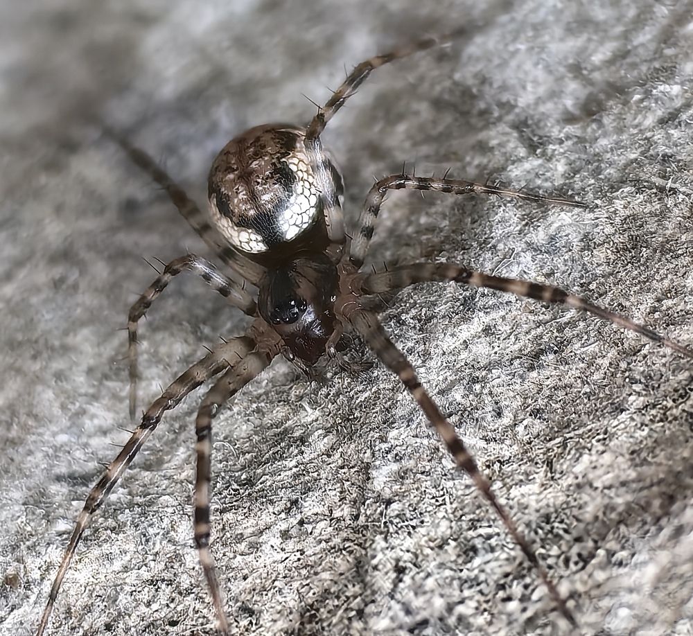 Photograph by Сергей Гриднев