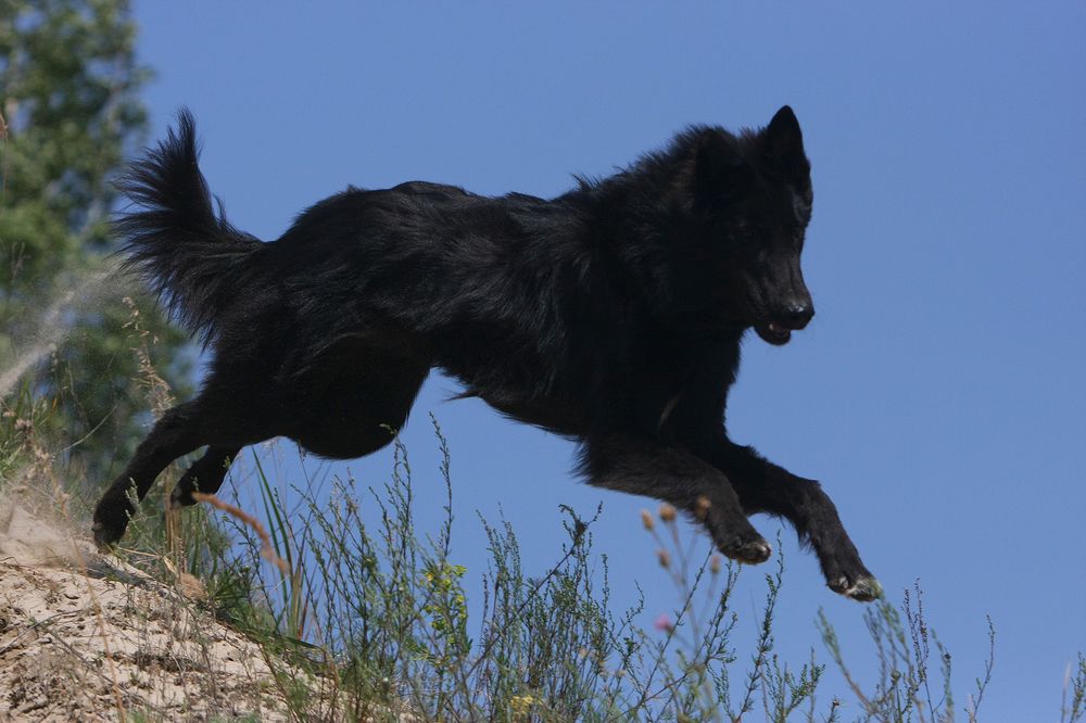 Фотография автора Надежда Лисицына