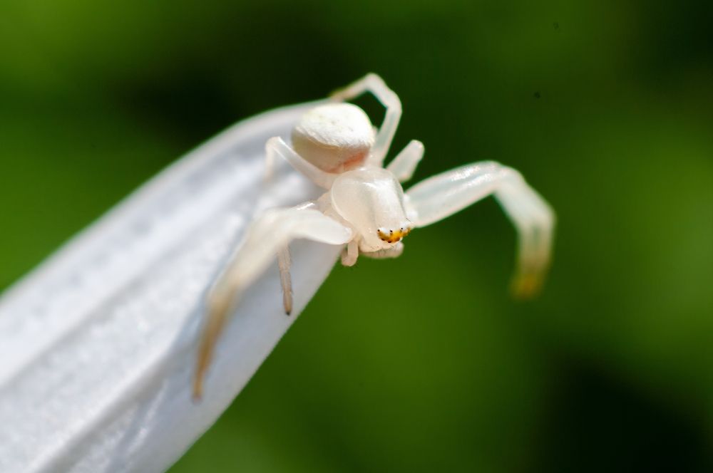 Photograph by Роман Приходько