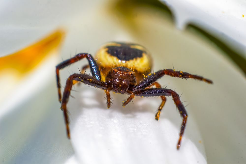 Photograph by Роман Приходько