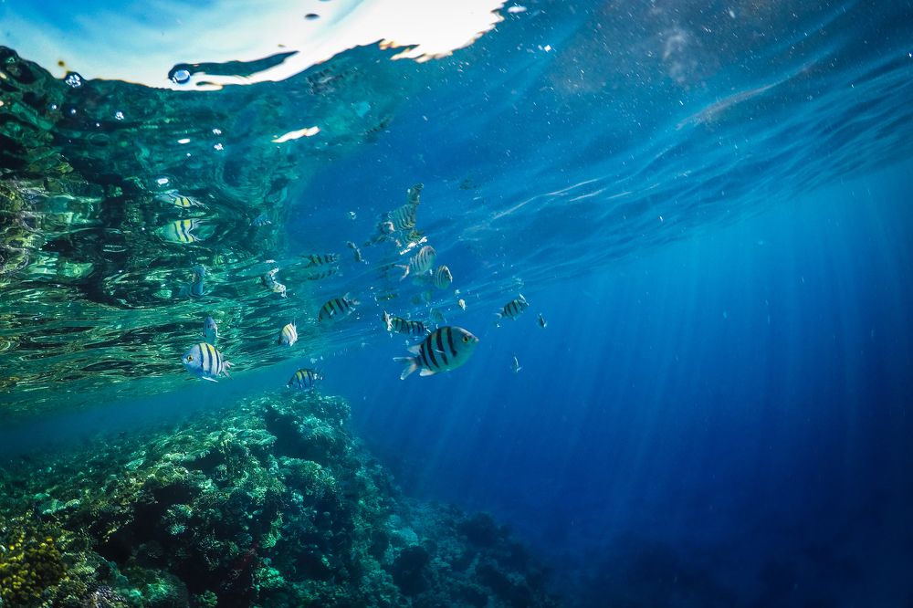 Фотография автора Перевозчиков Андрей