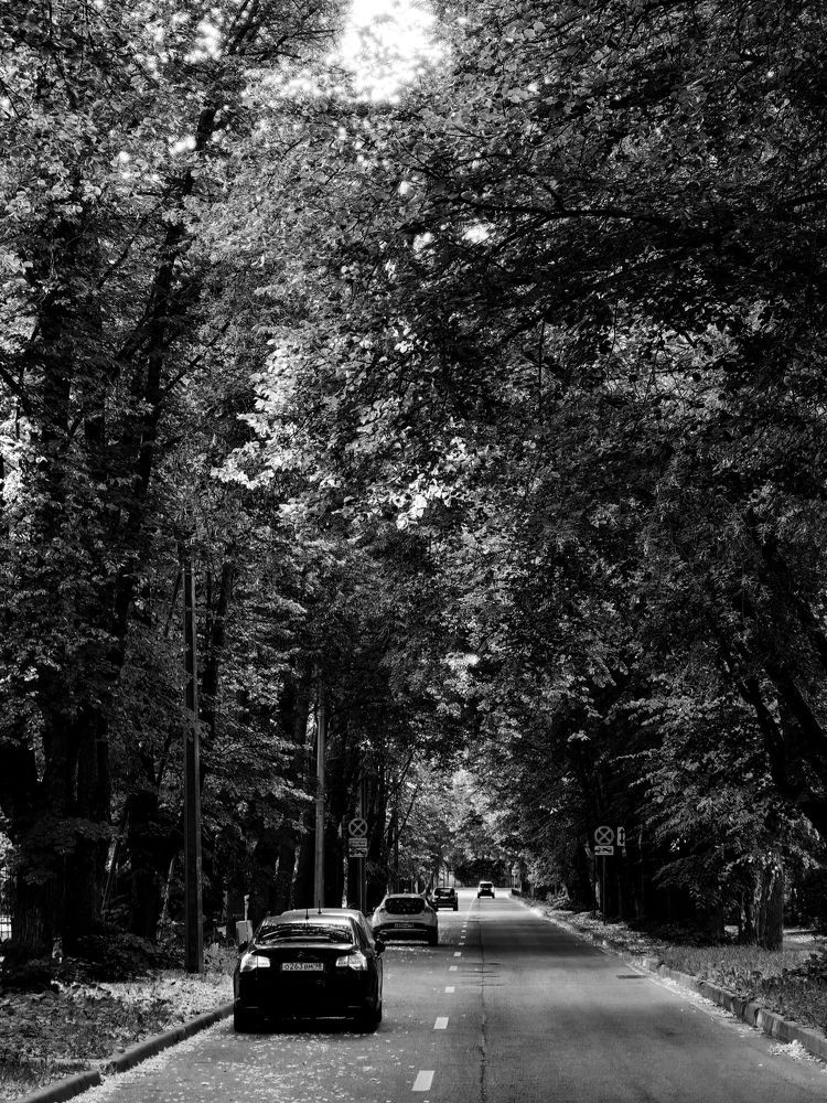 Photograph by Александр Максимов