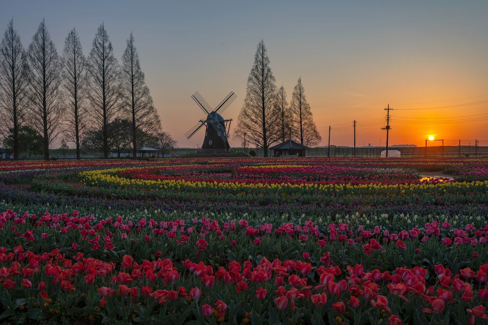 Photograph by LE HUY HUNG