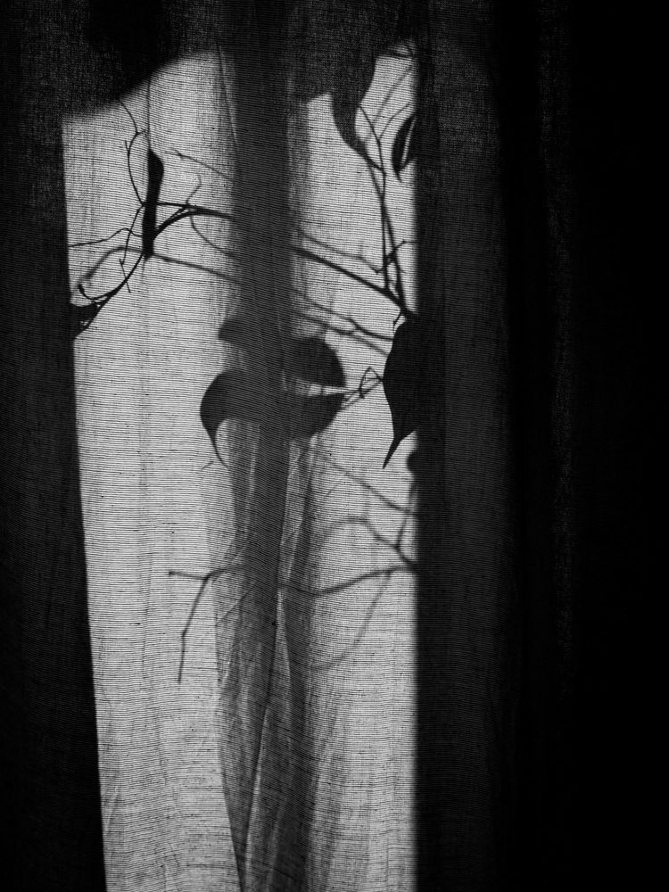 Фотография автора Александр Максимов