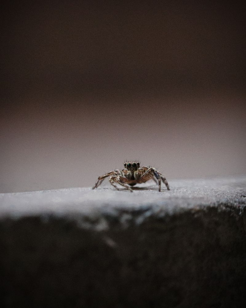 Photograph by Sandy Daniel