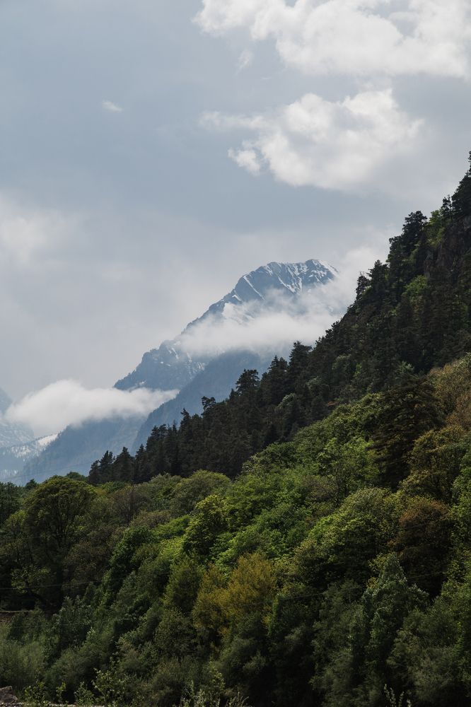 Photograph by Матвеев Денис