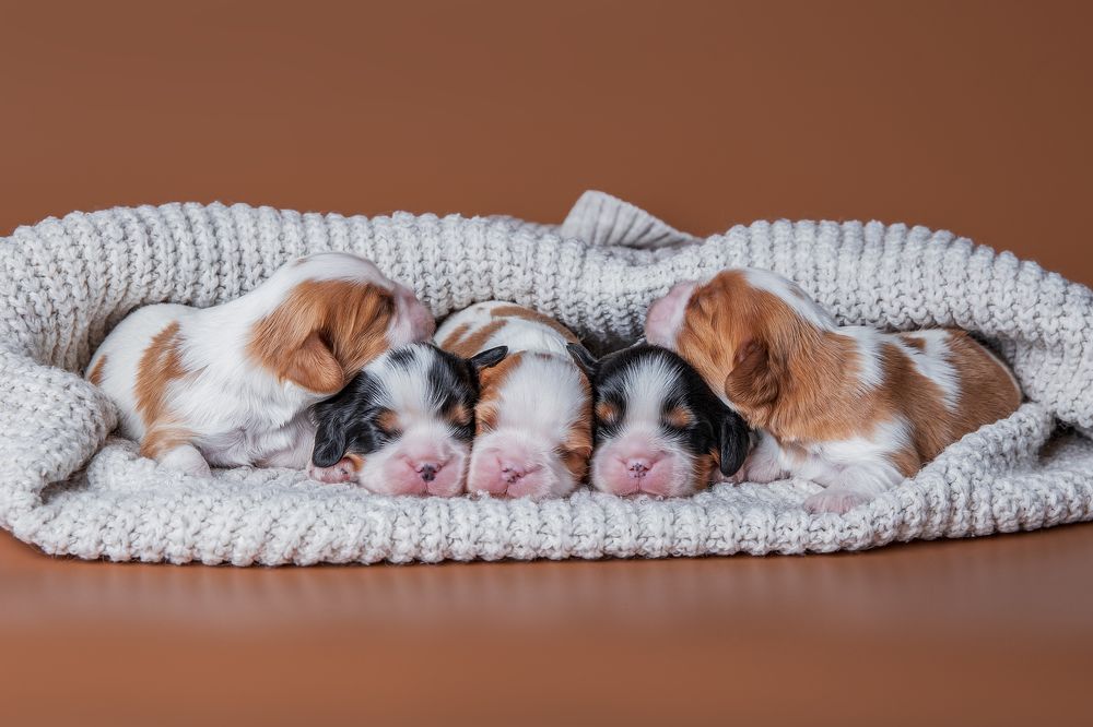 Photograph by Елена Вьюркова