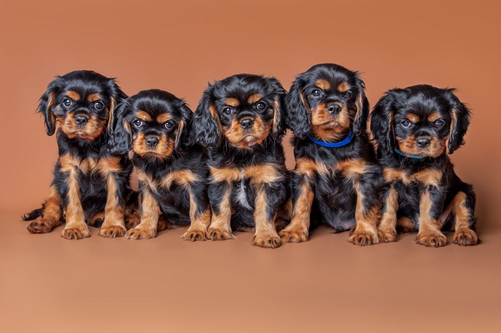 Photograph by Елена Вьюркова