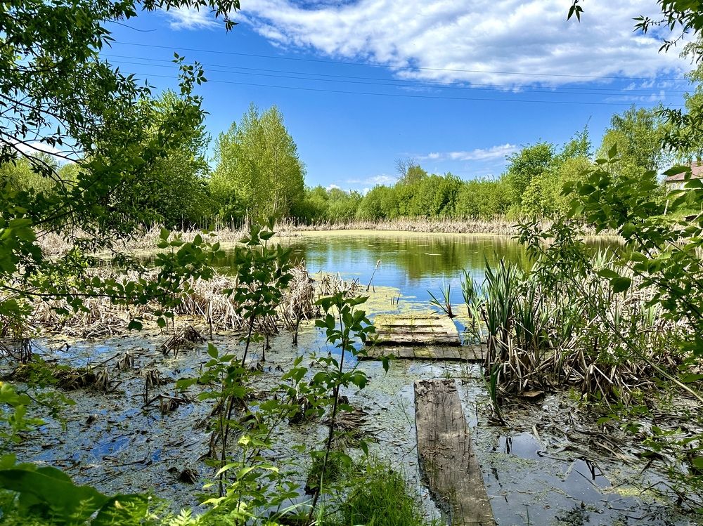 Фотография автора Юрий Пустовит