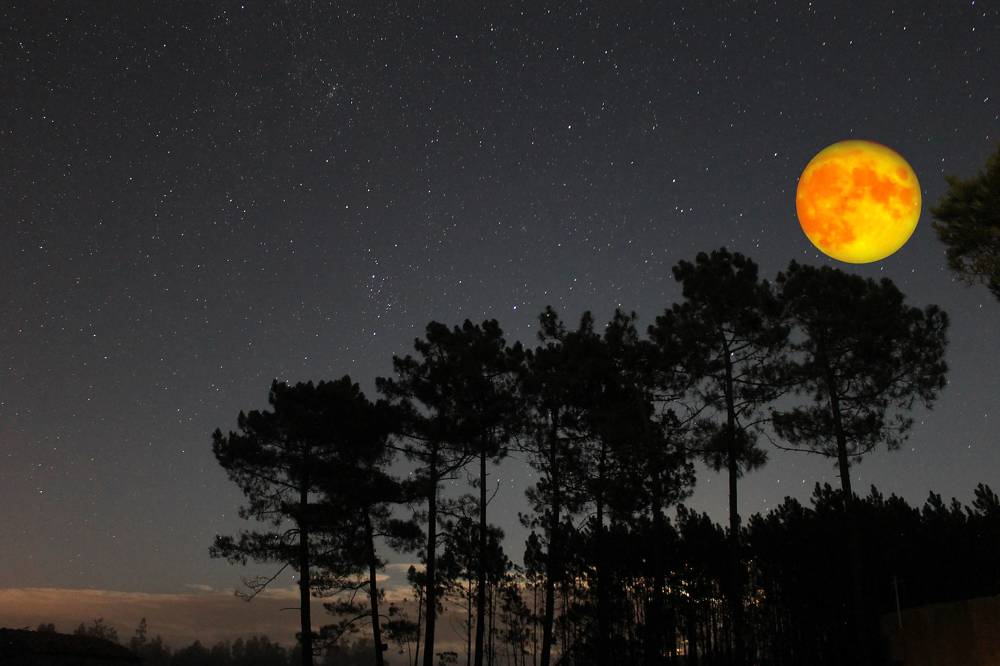 Photograph by Ferreira Francisco