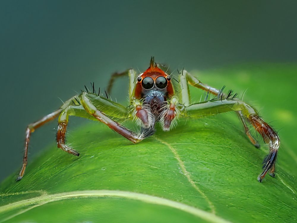 Photograph by Dzulfikri Dzulfikri