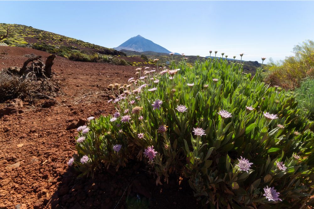 Photograph by Fahrudin Seferagić