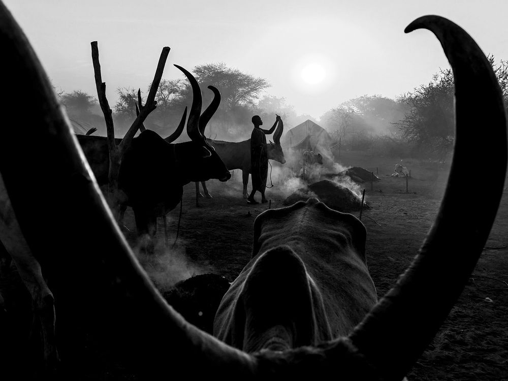 Mundari tribe