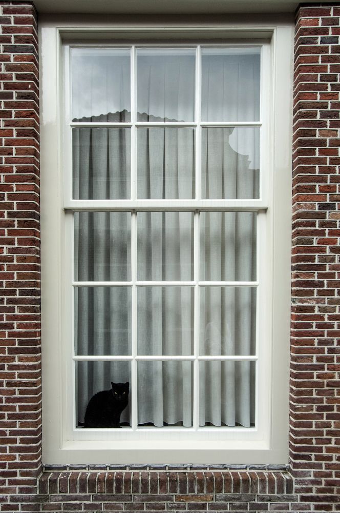 Фотография автора Chorche Prigo