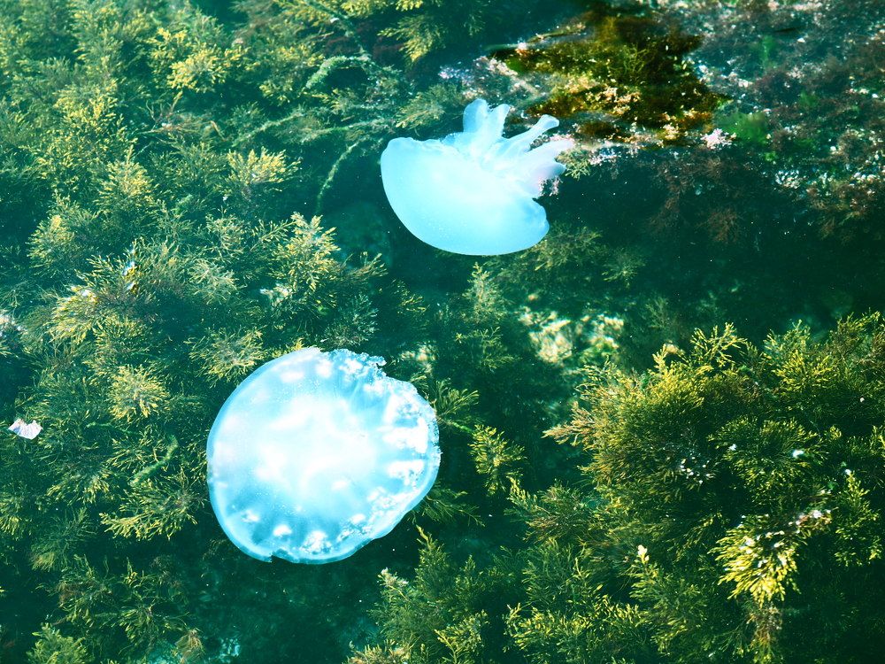 Photograph by Сергей Борисов