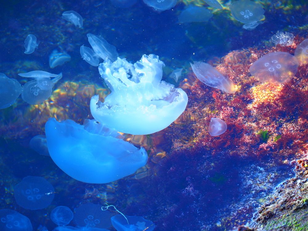 Photograph by Сергей Борисов