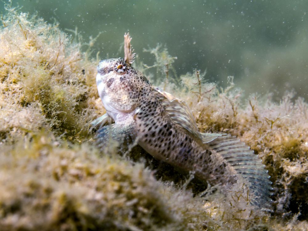 Photograph by Евгения Карпова