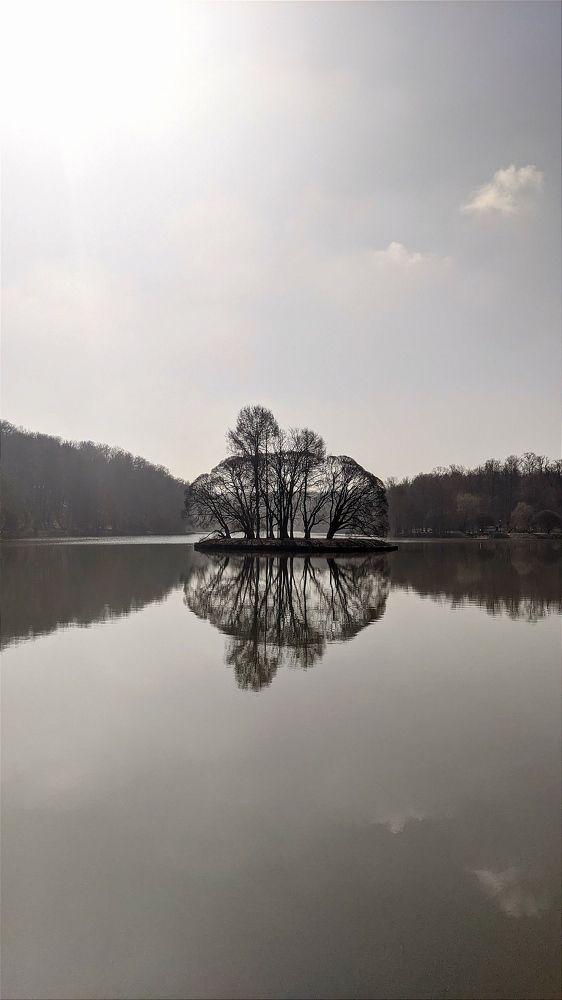 Фотография автора Васильева Ирина