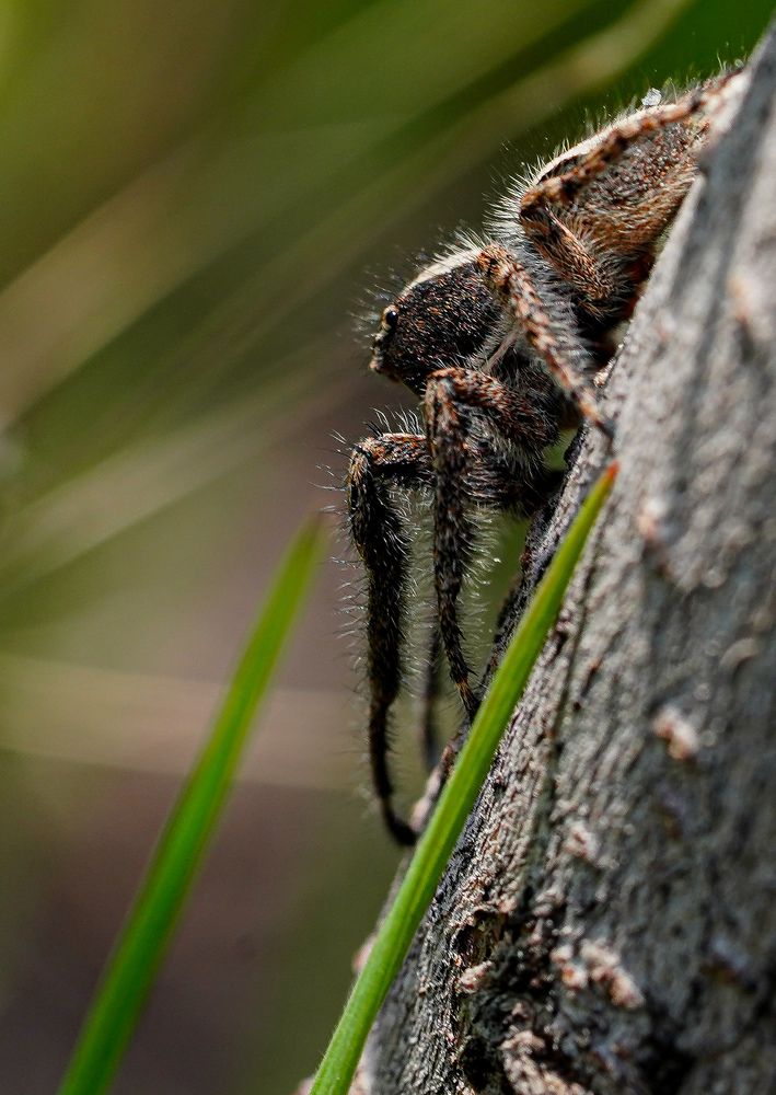 Photograph by kamran shirani