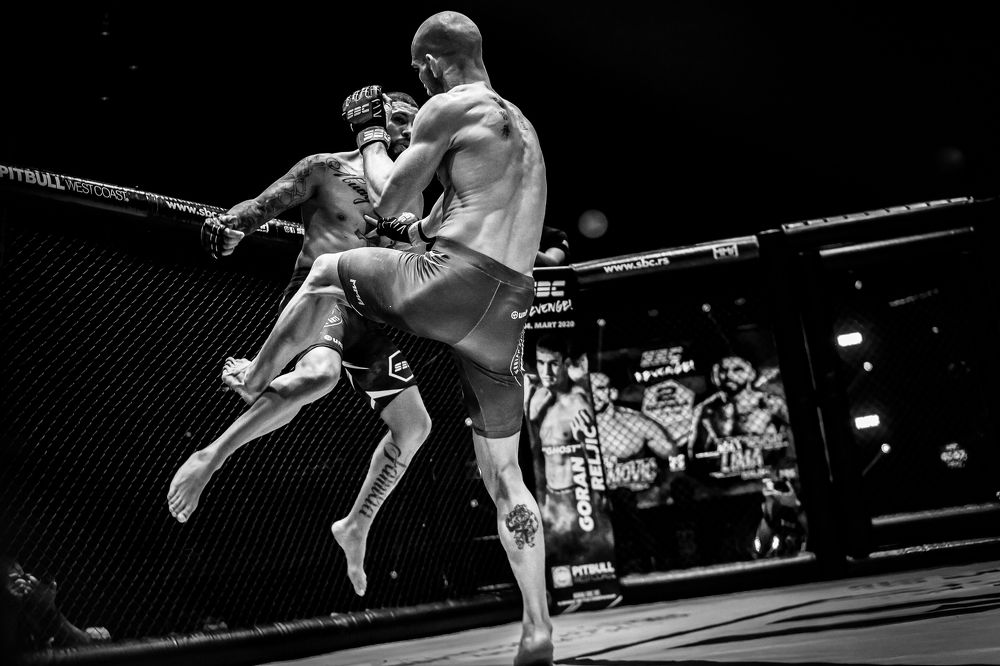 Фотография автора Minja Jovetic